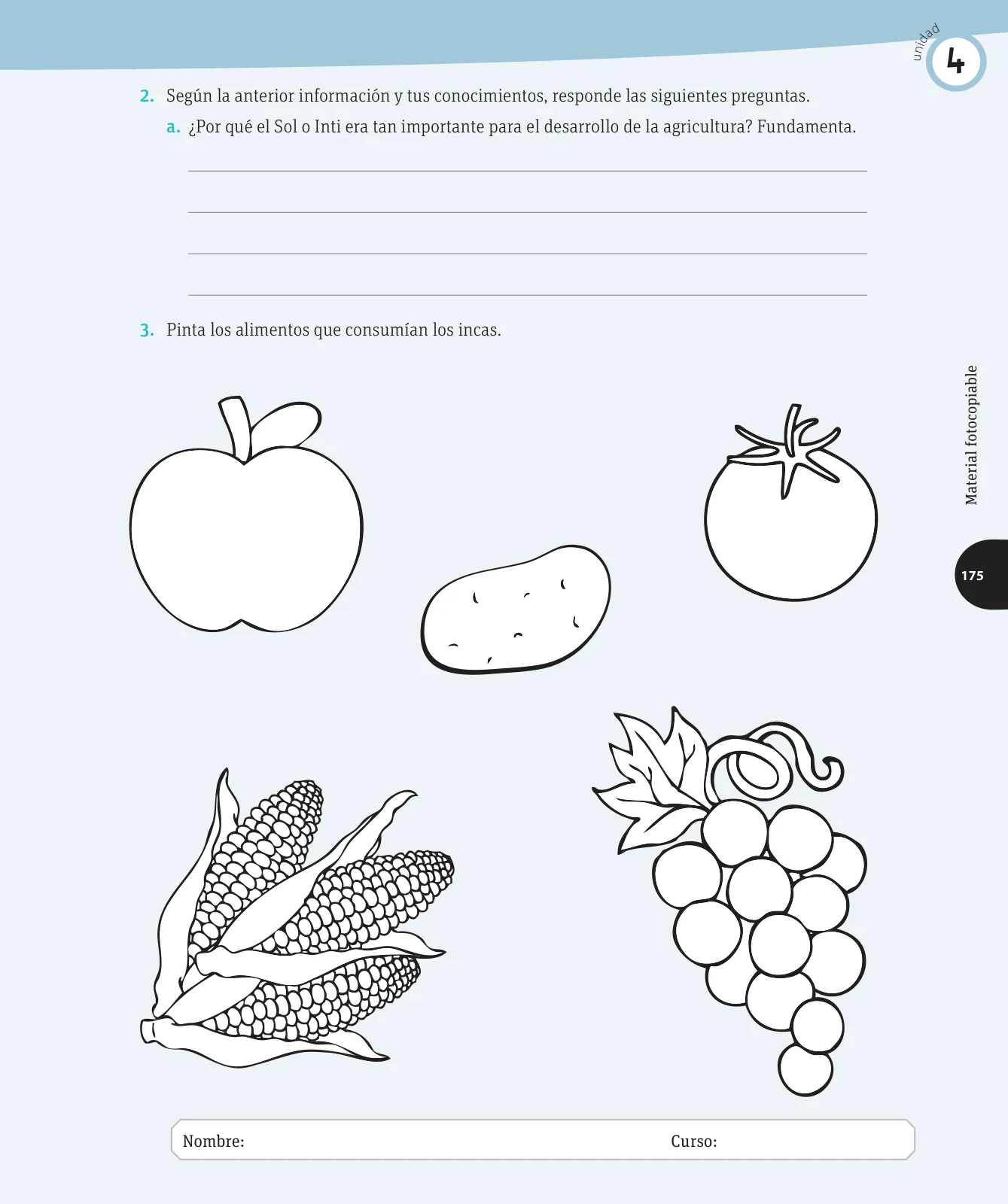 Miniatura página 130 de Ciencias Naturales – Cuarto Básico | Texto del Estudiante MINEDUC – Descargar PDF · 2024