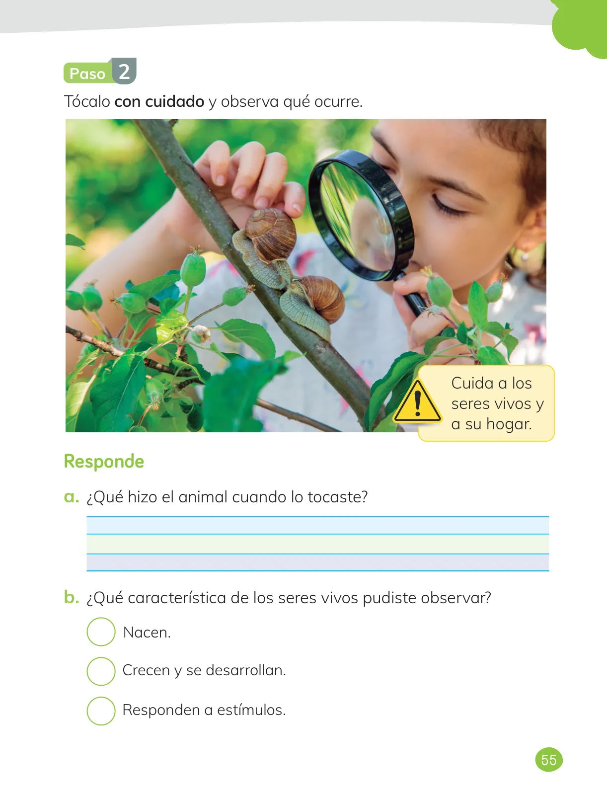 Miniatura página 57 de Ciencias Naturales – Primero Básico | Texto del Estudiante (MINEDUC) – Descargar PDF · 2024