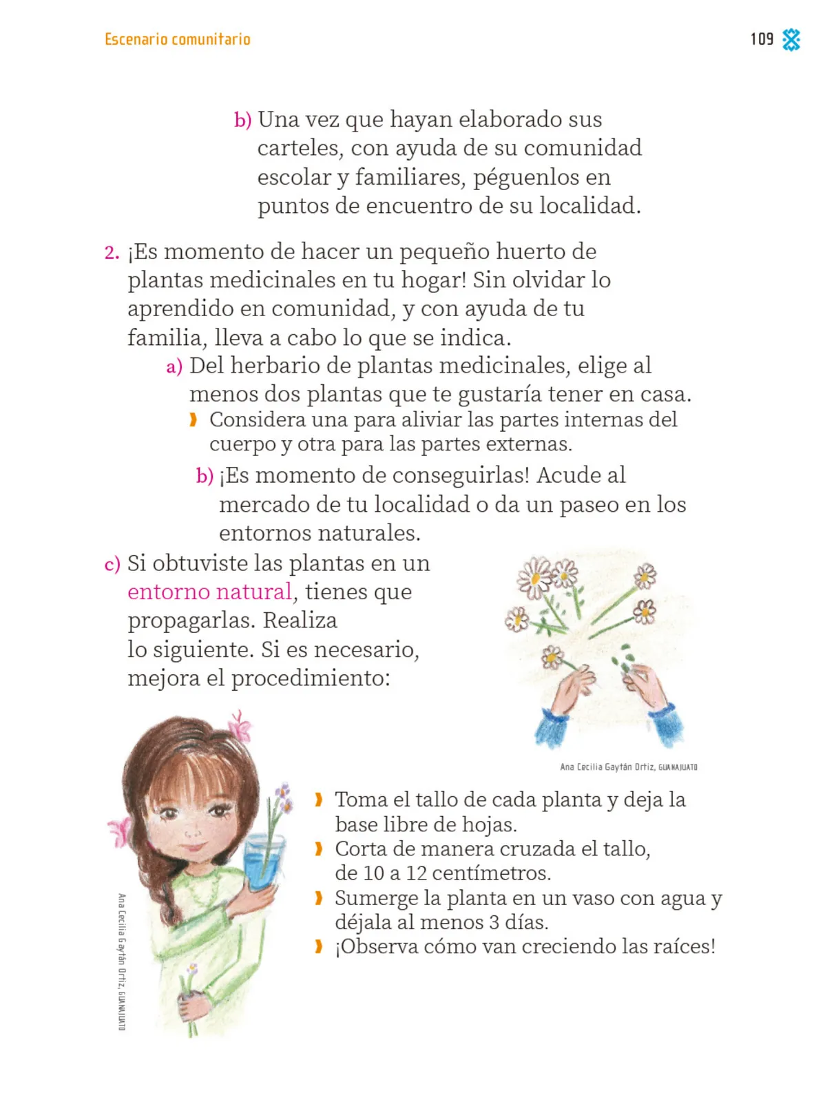 Página 110 de Proyectos Comunitarios. Libro de Educación Primaria Grado 1° Ciclo Escolar 2025 - 2026