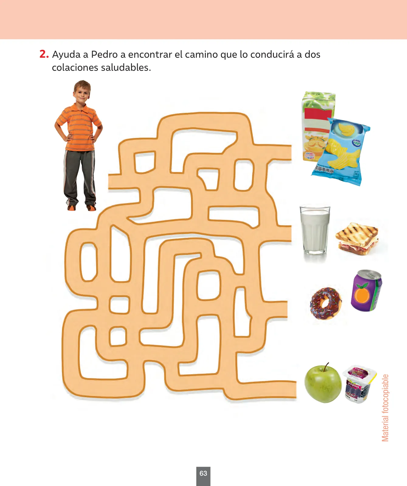 Página 64 de Ciencias Naturales – Primero Básico | Texto del Estudiante (MINEDUC) – Descargar PDF · 2024