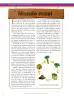 Miniatura página 116 de Ciencias Naturales 6° · Secundaria Activa