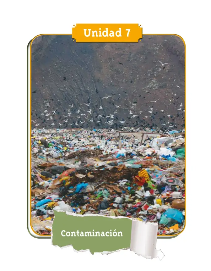 Página 7 de Ciencias Naturales 4° · Cartilla 03