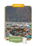 Miniatura página 7 de Ciencias Naturales 4° · Cartilla 03