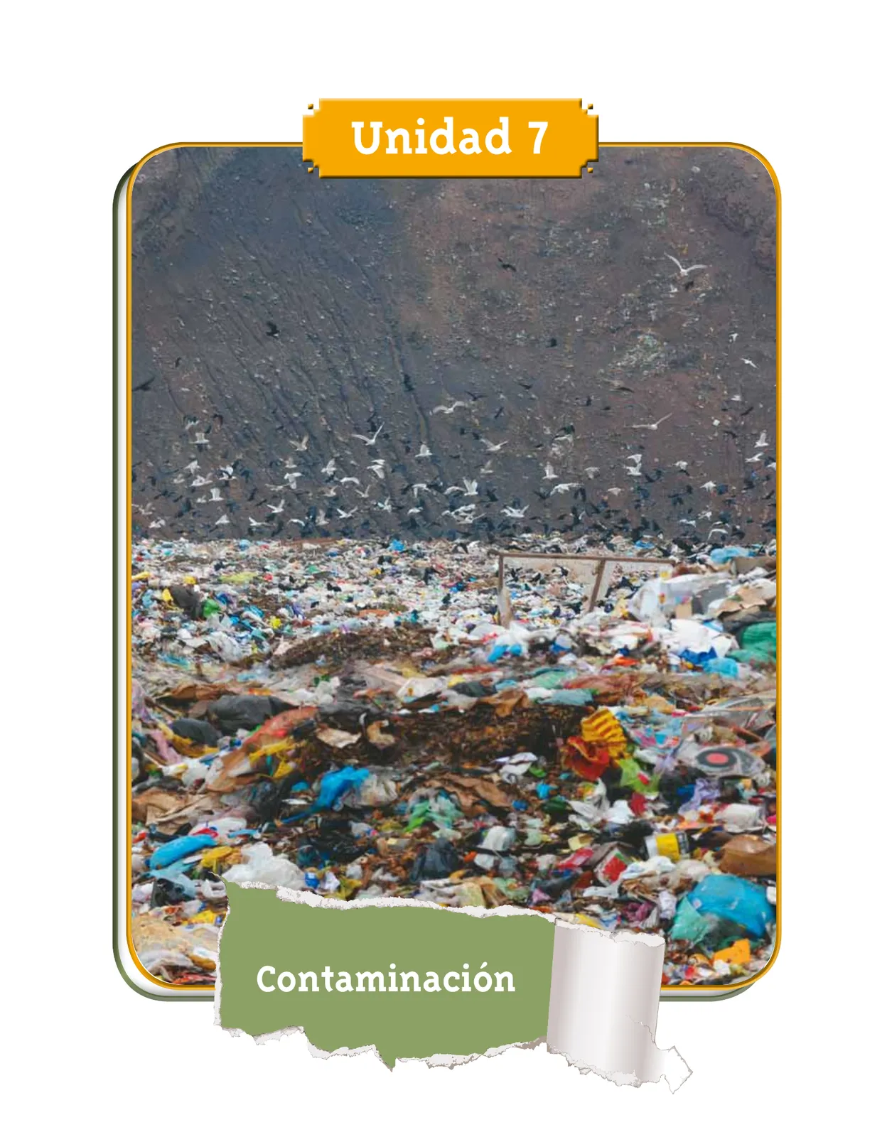 Miniatura página 7 de Ciencias Naturales 4° · Cartilla 03