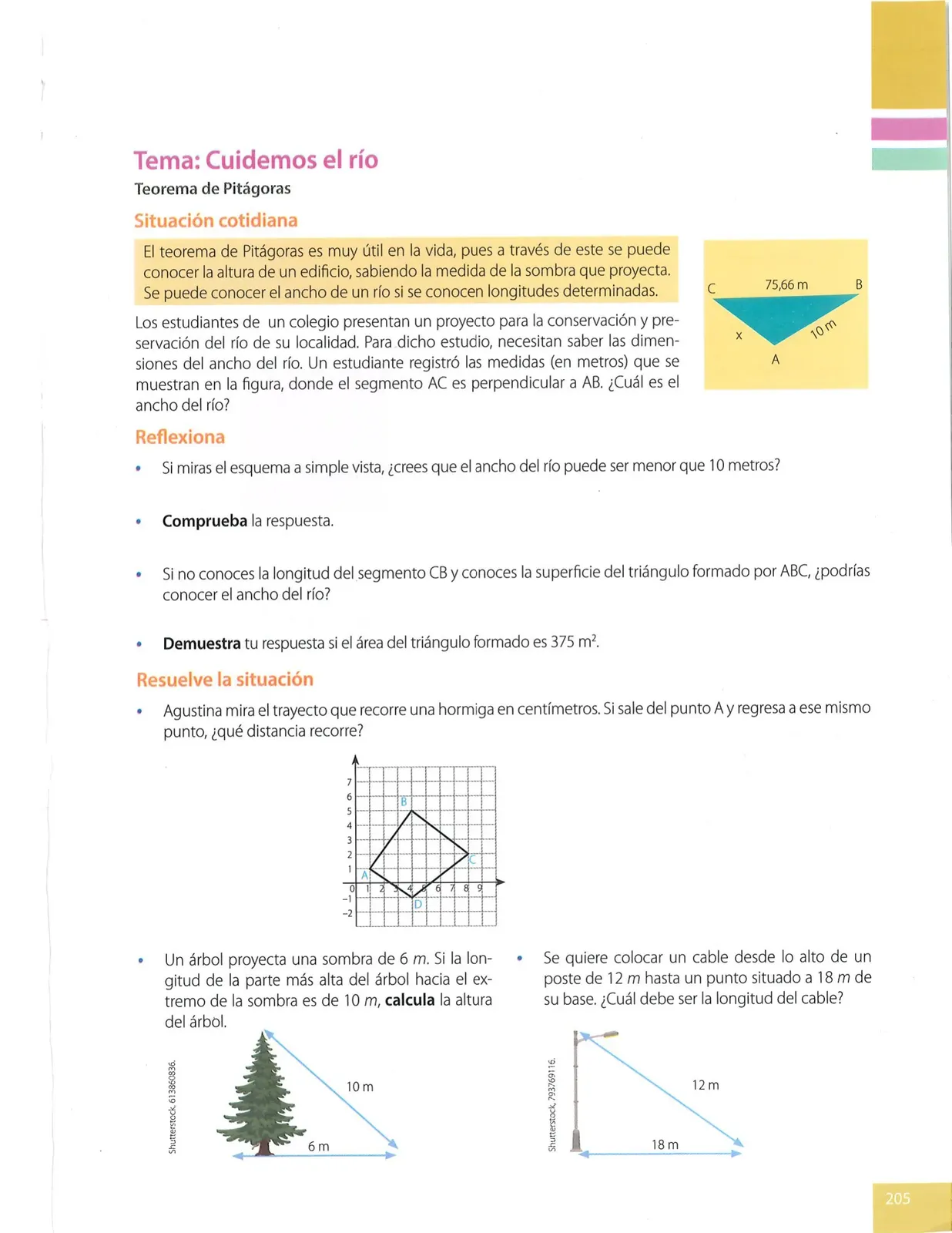 Página 205 de Matematica · 8 EGB · 2025