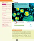 Miniatura página 123 de Ciencias Naturales – Séptimo Básico | Texto del Estudiante MINEDUC – Descargar PDF · 2024