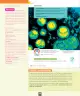 Miniatura página 123 de Ciencias Naturales – Séptimo Básico | Texto del Estudiante MINEDUC – Descargar PDF · 2024