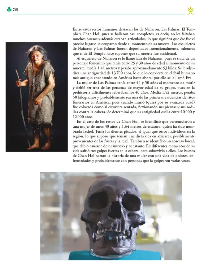 Página 291 de Colección Ximhai. Ética, naturaleza y sociedades. Libro de Educación Telesecundaria Grado 1° Ciclo Escolar 2025 - 2026