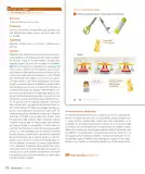 Miniatura página 74 de Sumo Primero – Tercero Básico | Texto del Estudiante MINEDUC – Descargar PDF · 2024