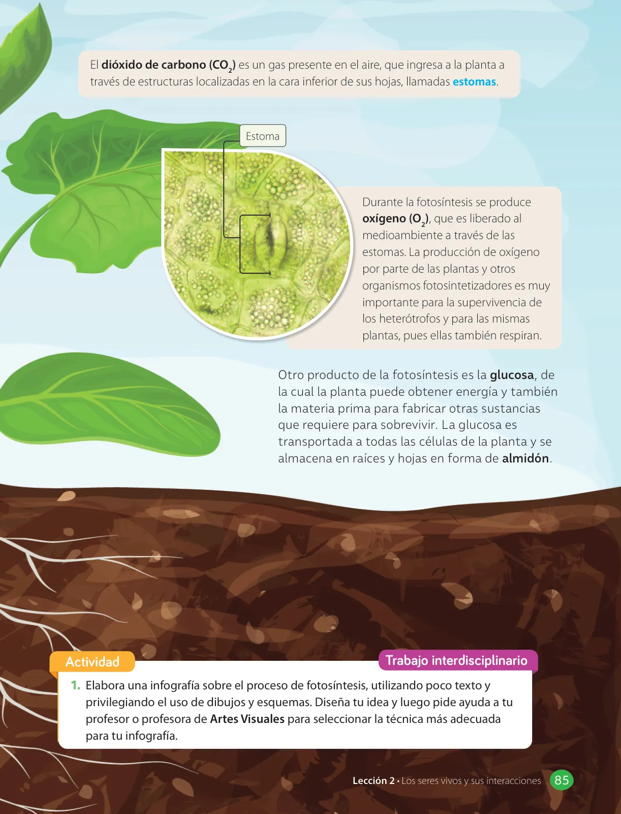 Miniatura página 87 de Libro de Ciencias Naturales – Quinto Básico | Texto del Estudiante MINEDUC – Descargar PDF · 2024
