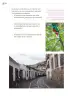Miniatura página 63 de Proyectos Comunitarios.   Libro de Educación Primaria Grado 3°  Ciclo Escolar 2025 - 2026