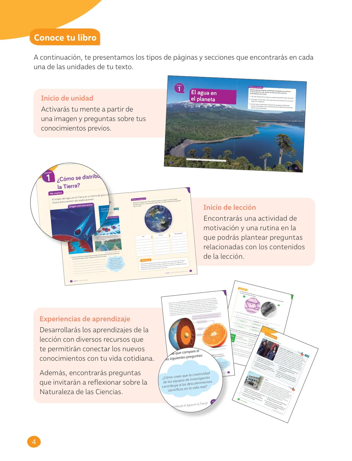 Miniatura página 6 de Libro de Ciencias Naturales – Quinto Básico | Texto del Estudiante MINEDUC – Descargar PDF · 2024