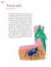 Miniatura página 11 de Colección Sk´asolil. Múltiples lenguajes.   Libro de Educación Secundaria Grado 2°  Ciclo Escolar 2025 - 2026