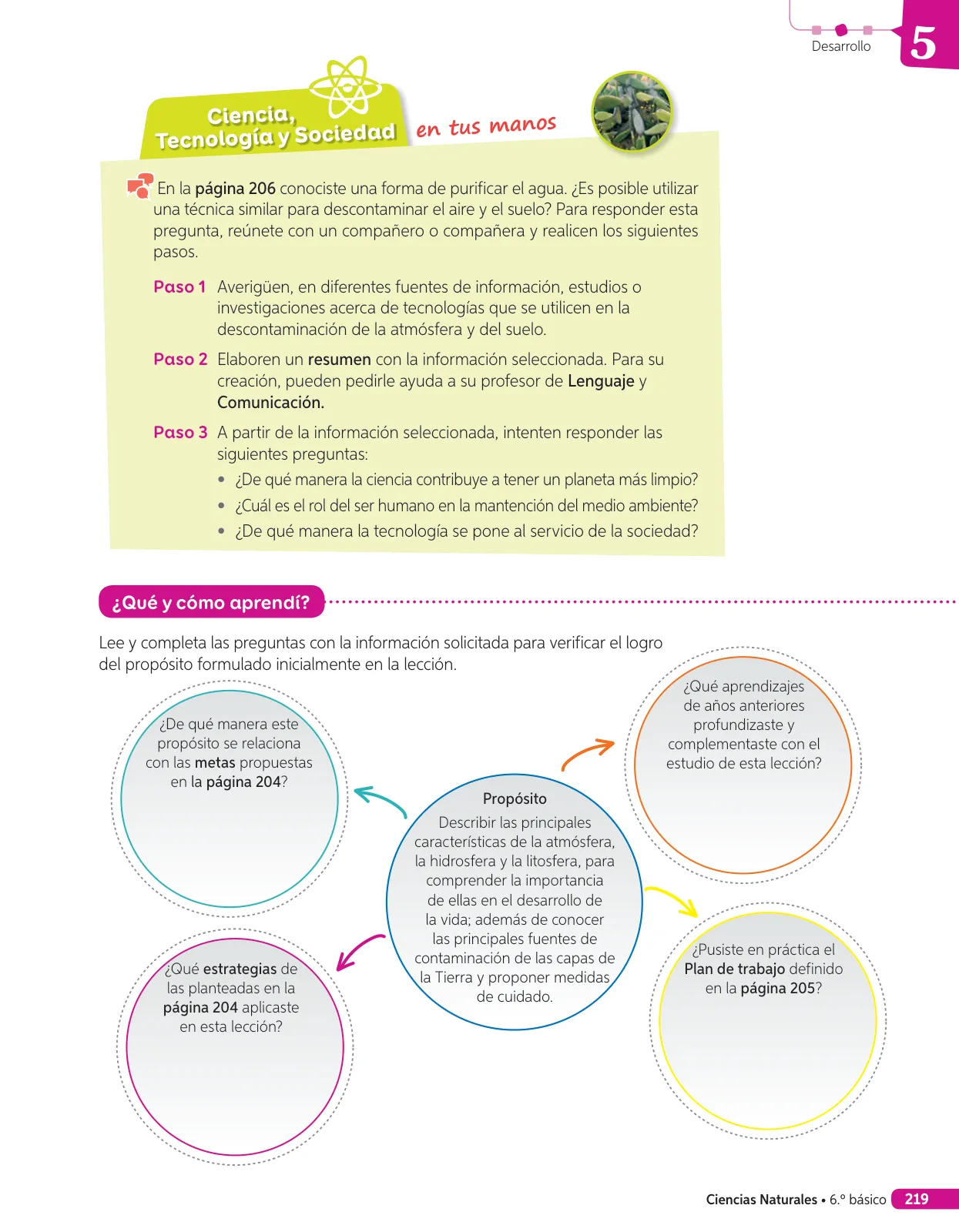 Página 170 de Libro de Ciencias Naturales – Quinto Básico | Texto del Estudiante MINEDUC – Descargar PDF · 2024