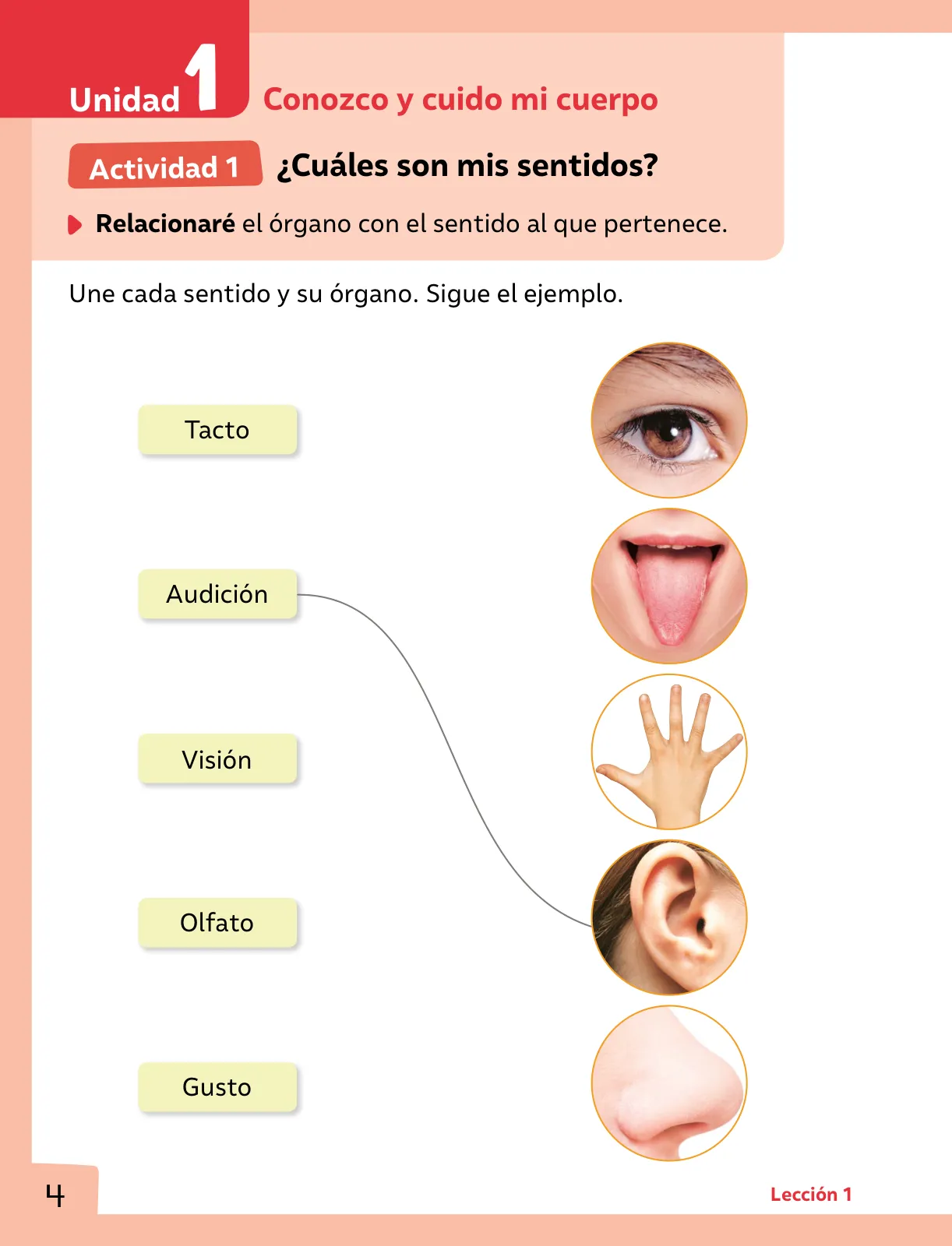 Página 5 de Ciencias Naturales – Primero Básico | Texto del Estudiante (MINEDUC) – Descargar PDF · 2024