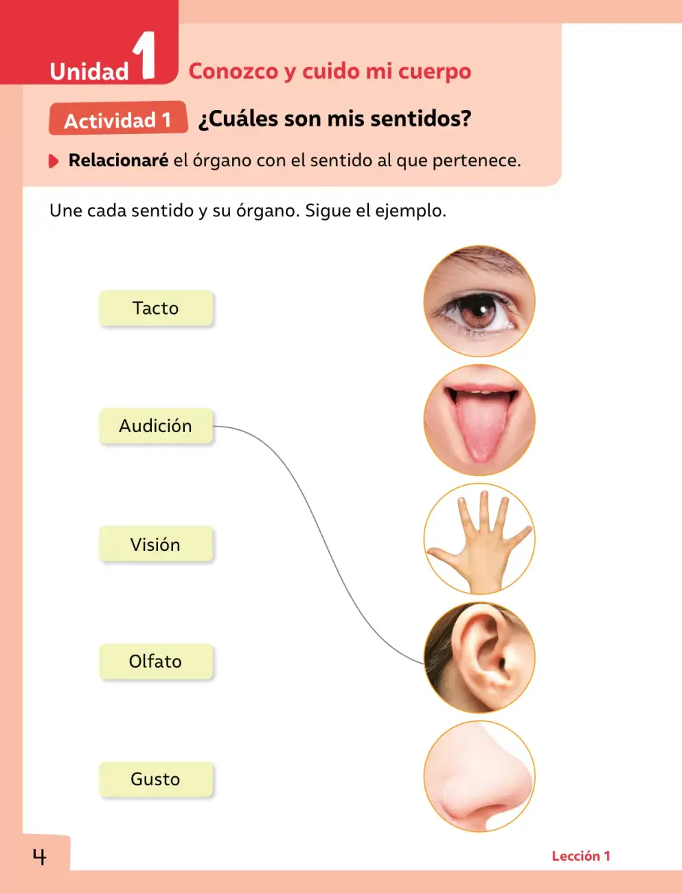 Página 5