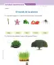 Miniatura página 177 de Ciencias Naturales – Primero Básico | Texto del Estudiante (MINEDUC) – Descargar PDF · 2024