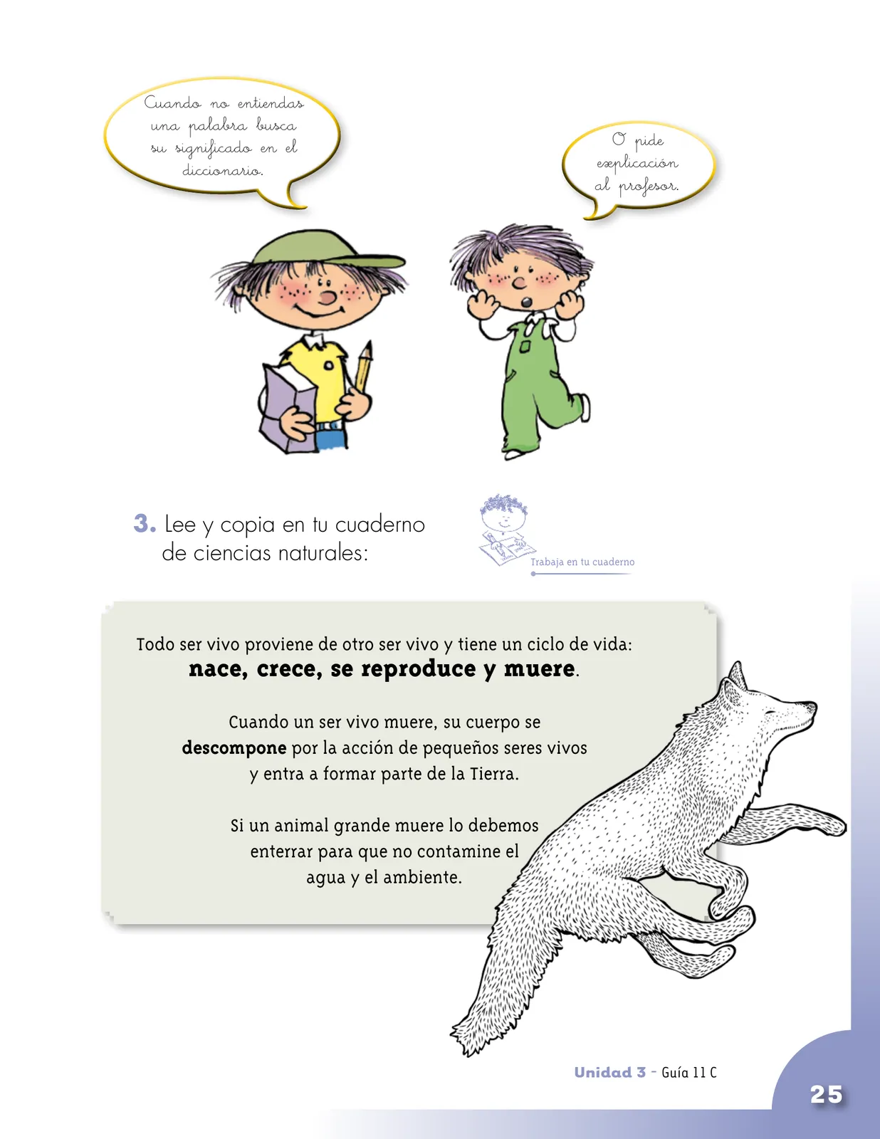 Pág 25