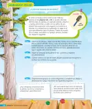 Miniatura página 51 de Ciencias Naturales – Tercero Básico | Texto del Estudiante MINEDUC – Descargar PDF · 2024