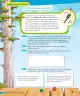 Miniatura página 51 de Ciencias Naturales – Tercero Básico | Texto del Estudiante MINEDUC – Descargar PDF · 2024