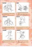 Miniatura página 158 de Lengua de señas peruana : guía para el aprendizaje de la lengua de señas peruana, vocabulario básico · 2015