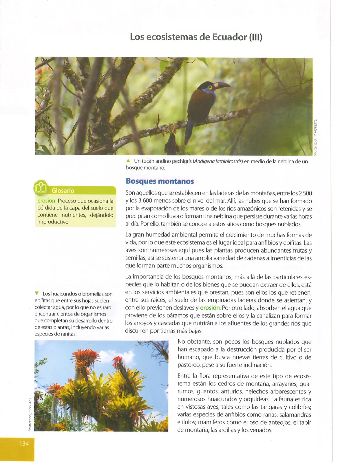 Página 135 de Ciencias Naturales · 9 EGB · 2024