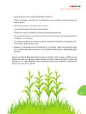 Miniatura página 14 de Matematica 7° · Postprimaria