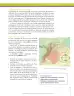 Miniatura página 243 de Ciencias Sociales 8° · Secundaria Activa