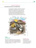 Miniatura página 196 de Colección Ximhai. Nuestro libro de Proyectos. Tomo I.   Libro de Educación Telesecundaria Grado 1°  Ciclo Escolar 2025 - 2026