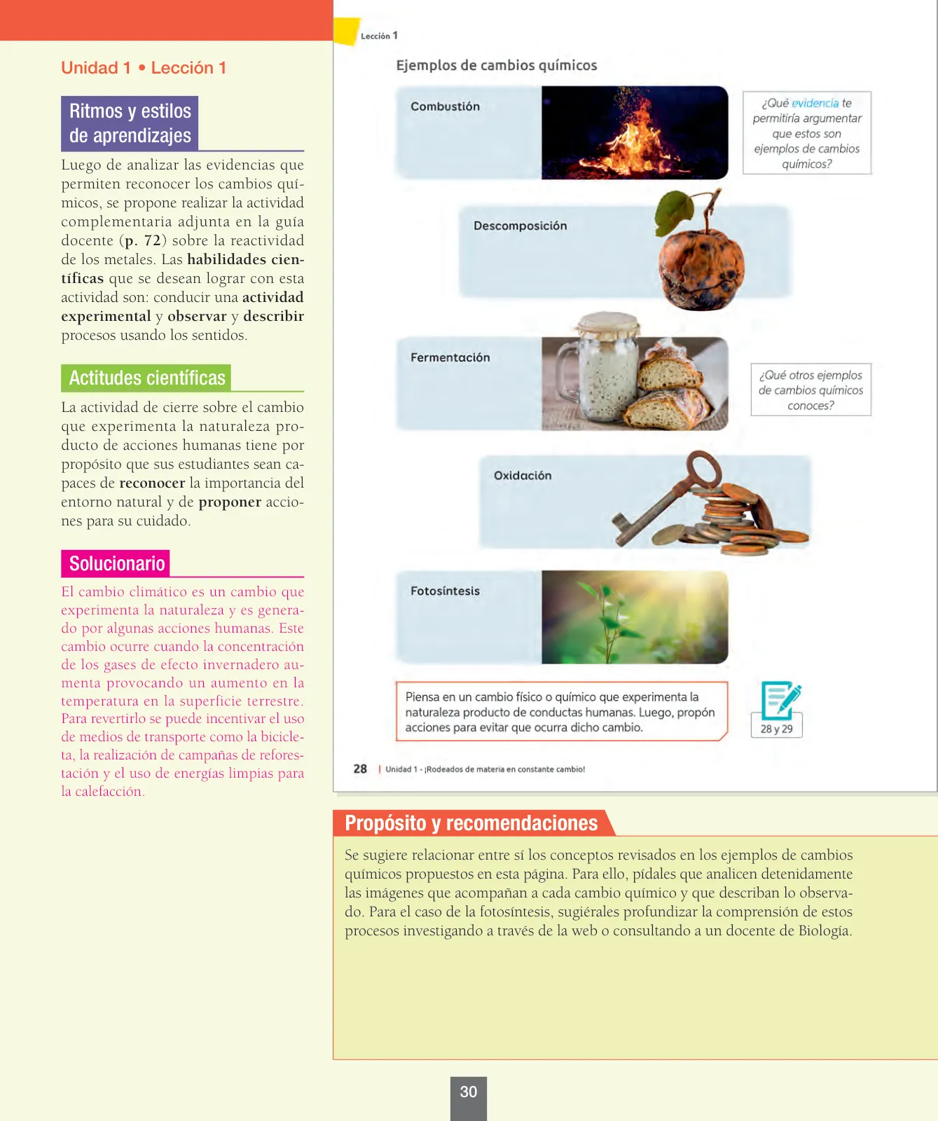 Página 31 de Ciencias Naturales – Séptimo Básico | Texto del Estudiante MINEDUC – Descargar PDF · 2024