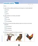 Miniatura página 123 de Ciencias Naturales – Primero Básico | Texto del Estudiante (MINEDUC) – Descargar PDF · 2024