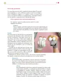 Miniatura página 56 de Colección Nanahuatzin. Lenguajes.   Libro de Educación Secundaria Grado 3°  Ciclo Escolar 2025 - 2026