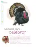 Miniatura página 163 de Múltiples lenguajes.   Libro de Educación Primaria Grado 1°  Ciclo Escolar 2025 - 2026