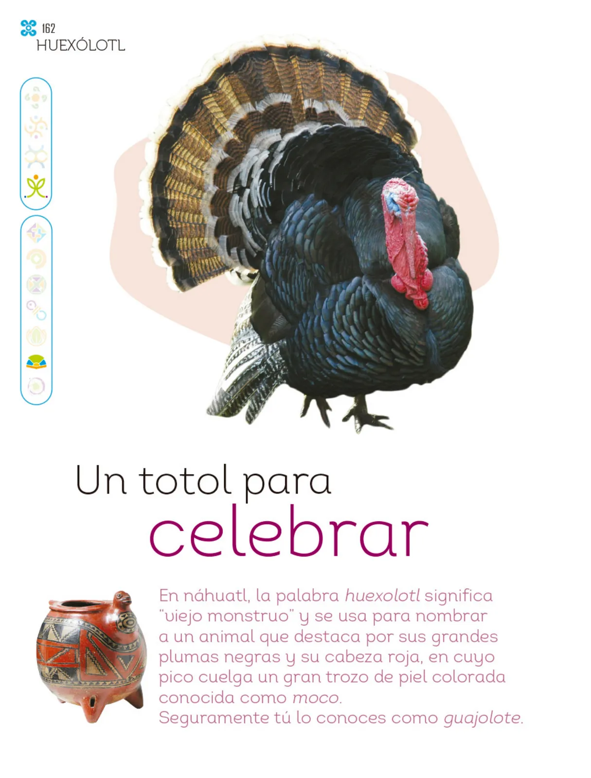 Miniatura página 163 de Múltiples lenguajes.   Libro de Educación Primaria Grado 1°  Ciclo Escolar 2025 - 2026