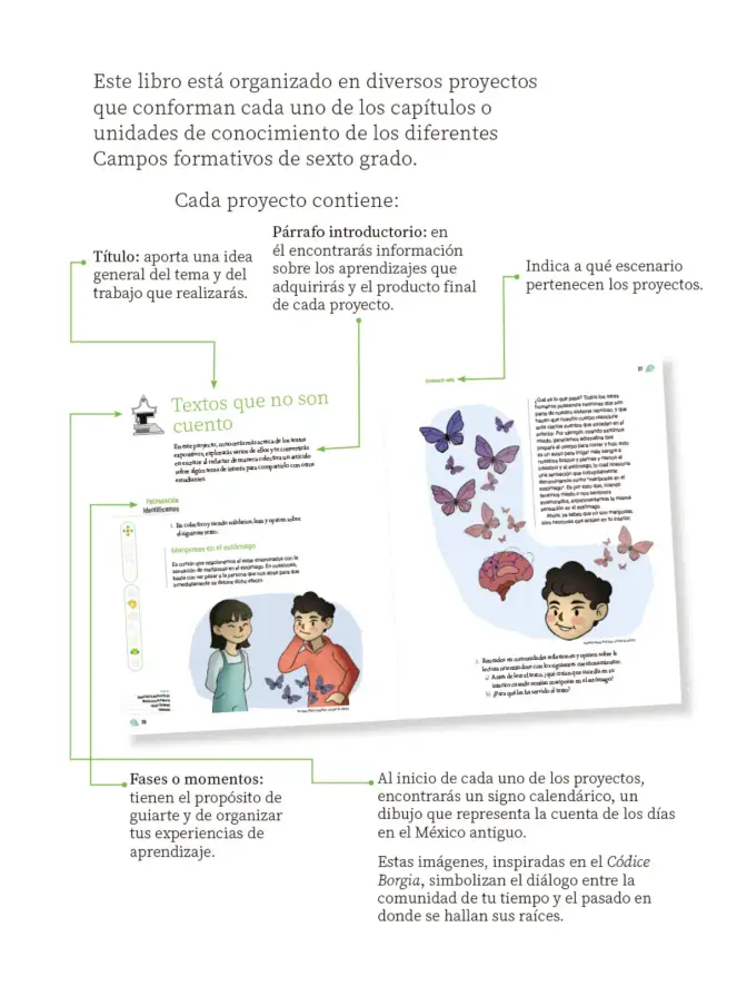 Página 6 de Proyectos de Aula. Libro de Educación Primaria Grado 6° Ciclo Escolar 2025 - 2026