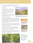 Pág 32