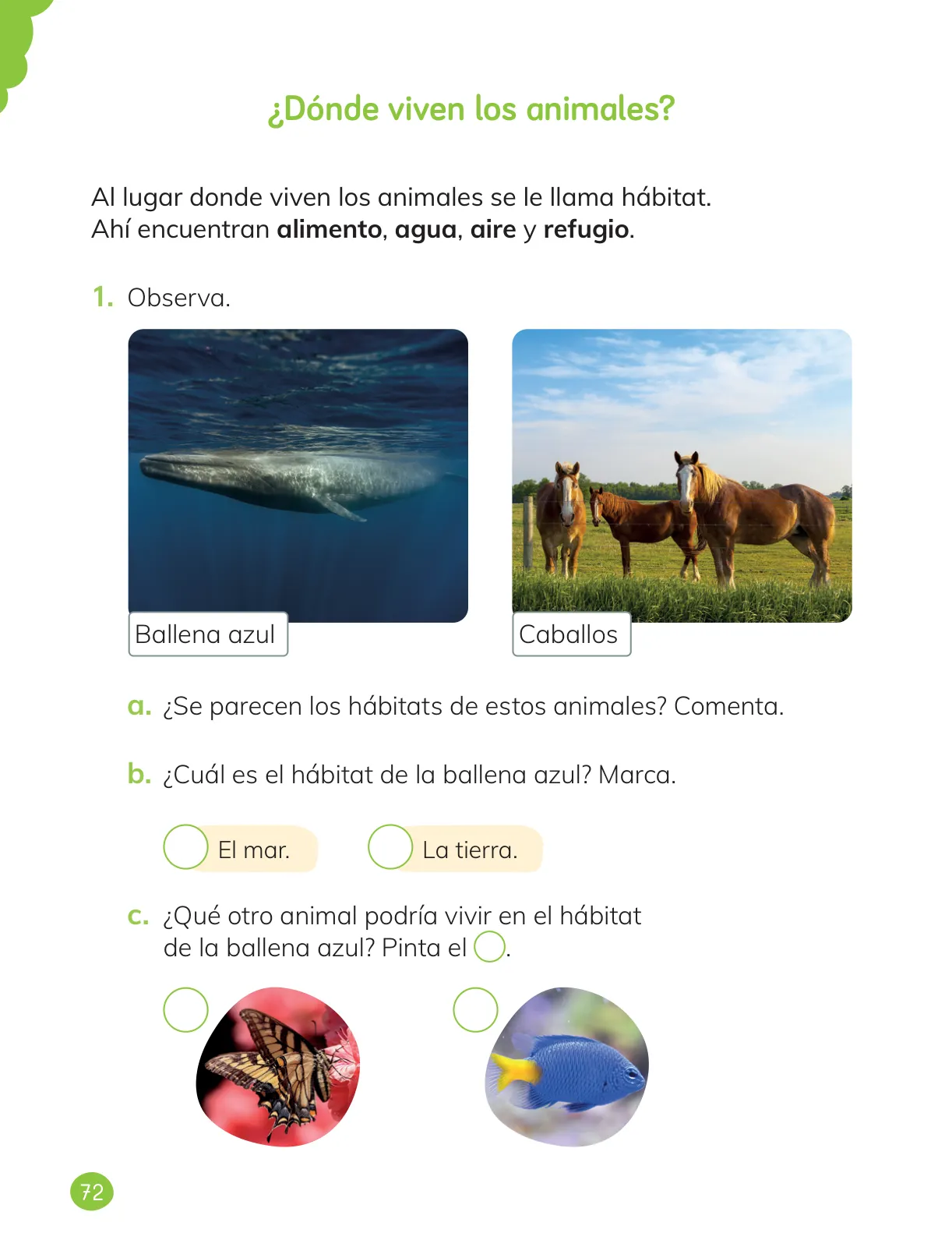 Miniatura página 74 de Ciencias Naturales – Primero Básico | Texto del Estudiante (MINEDUC) – Descargar PDF · 2024