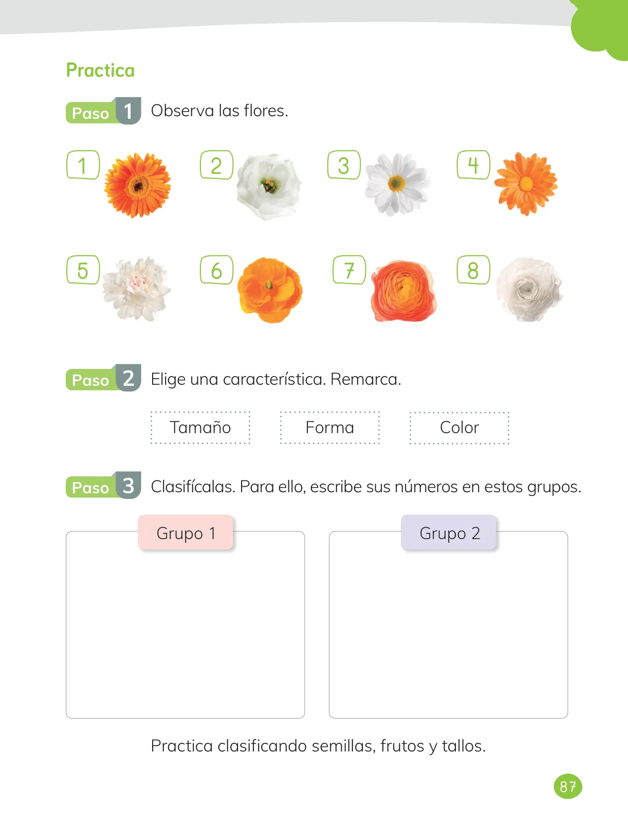 Página 89 de Ciencias Naturales – Primero Básico | Texto del Estudiante (MINEDUC) – Descargar PDF · 2024