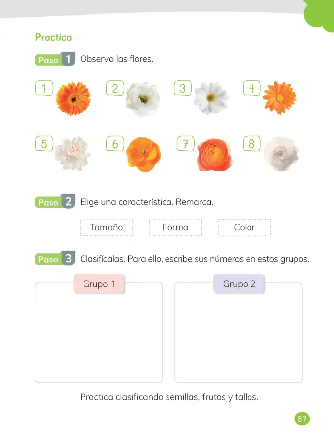 Página 89 de Ciencias Naturales – Primero Básico | Texto del Estudiante (MINEDUC) – Descargar PDF · 2024