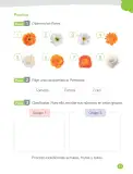Miniatura página 89 de Ciencias Naturales – Primero Básico | Texto del Estudiante (MINEDUC) – Descargar PDF · 2024