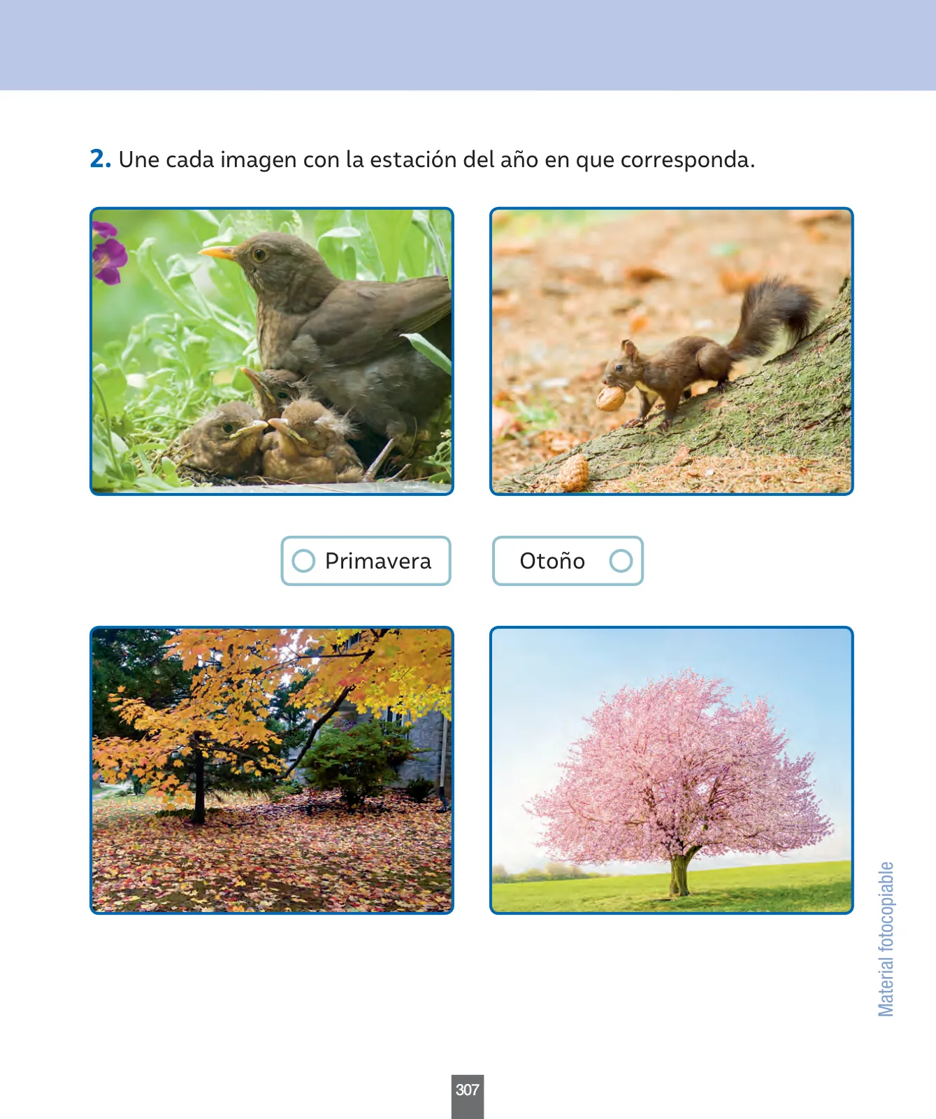 Página 116 de Ciencias Naturales – Primero Básico | Texto del Estudiante (MINEDUC) – Descargar PDF · 2024