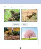 Miniatura página 116 de Ciencias Naturales – Primero Básico | Texto del Estudiante (MINEDUC) – Descargar PDF · 2024