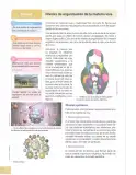 Miniatura página 33 de Ciencias Naturales 8° · Egb 8 Ciencias Naturales 2025 · 2025