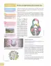 Miniatura página 33 de Ciencias Naturales 8° · Egb 8 Ciencias Naturales 2025 · 2025