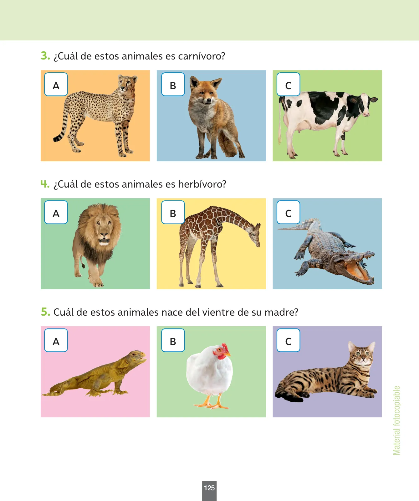 Página 126 de Ciencias Naturales – Primero Básico | Texto del Estudiante (MINEDUC) – Descargar PDF · 2024
