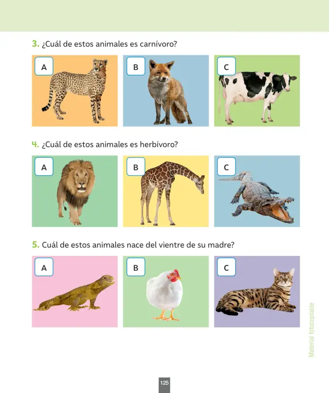 Página 126 de Ciencias Naturales – Primero Básico | Texto del Estudiante (MINEDUC) – Descargar PDF · 2024