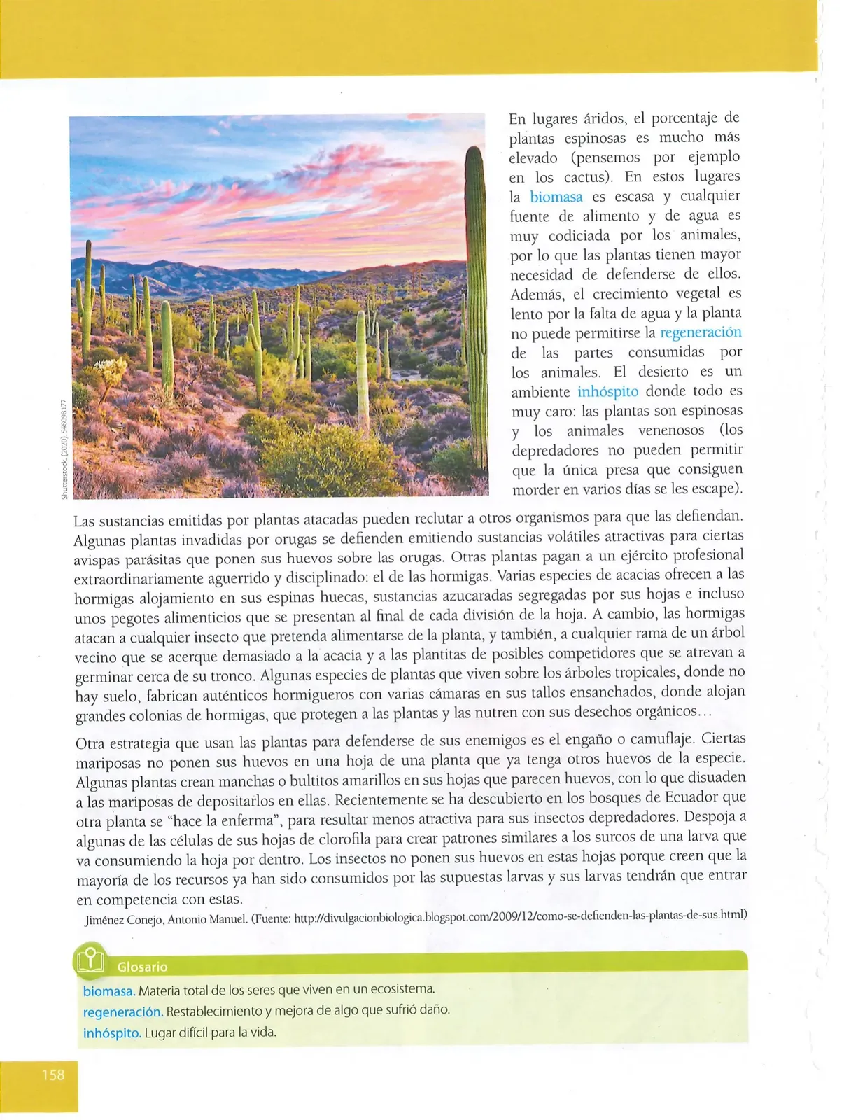 Miniatura página 158 de Lengua Y Literatura · 9 EGB · 2025