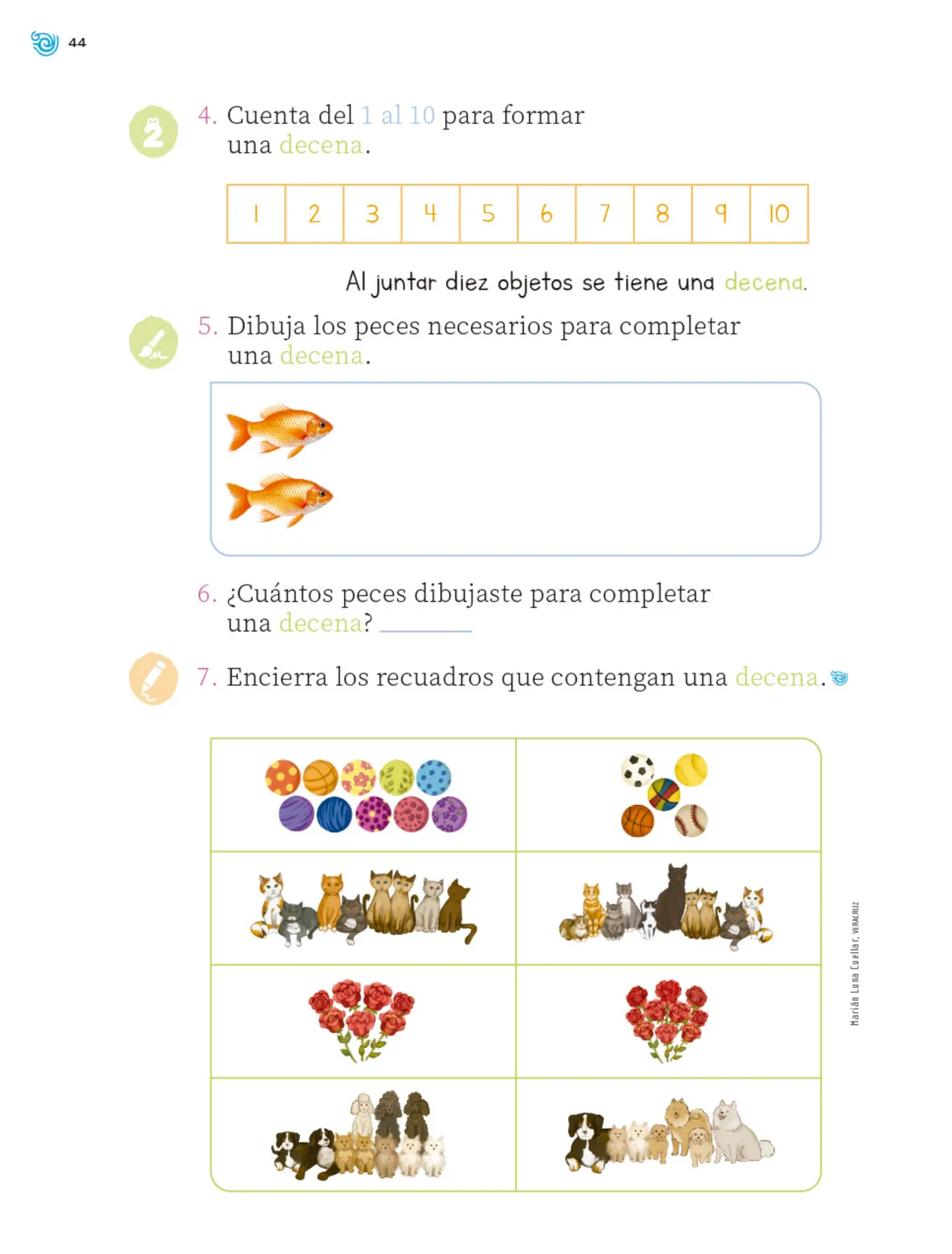 Página 45 de Múltiples lenguajes. Trazos y números.   Libro de Educación Primaria Grado 1°  Ciclo Escolar 2025 - 2026