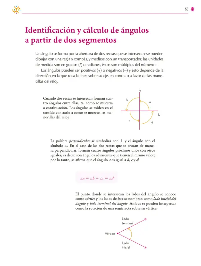 Página 56 de Colección Ximhai. Saberes y pensamiento científico. Libro de Educación Secundaria Grado 1° Ciclo Escolar 2025 - 2026