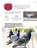 Miniatura página 62 de Múltiples lenguajes.   Libro de Educación Primaria Grado 4°  Ciclo Escolar 2025 - 2026